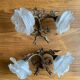 Set of 2 golden knot sconces