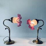 Paire de lampe col de cygne