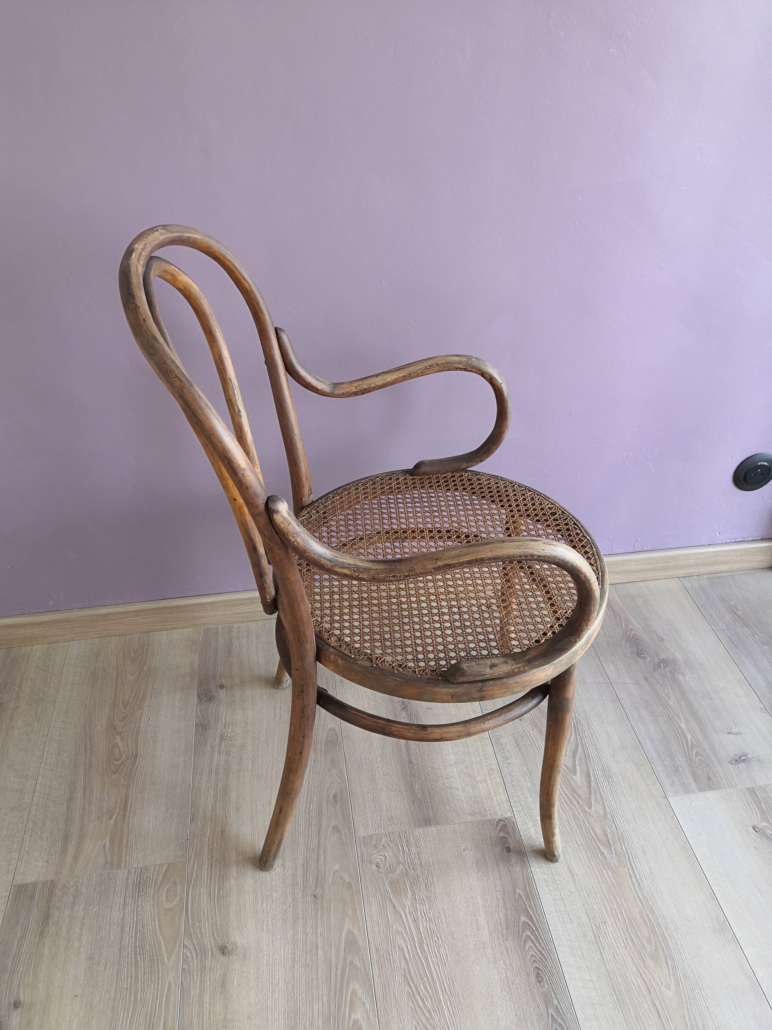 Thonet armchair in wood and cane, 1900
