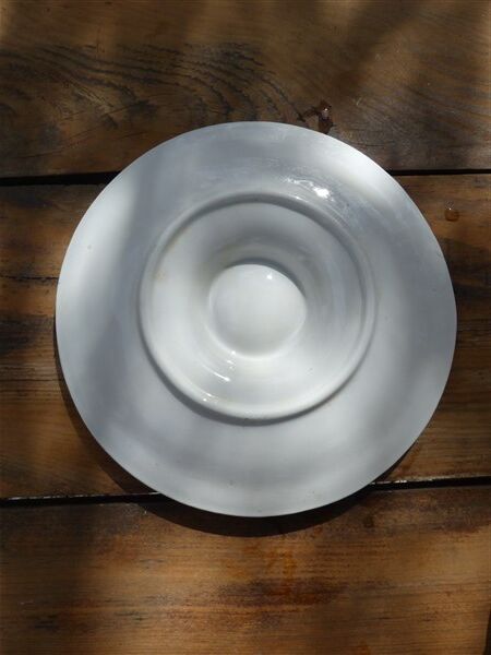 Shellfish plates in green slips