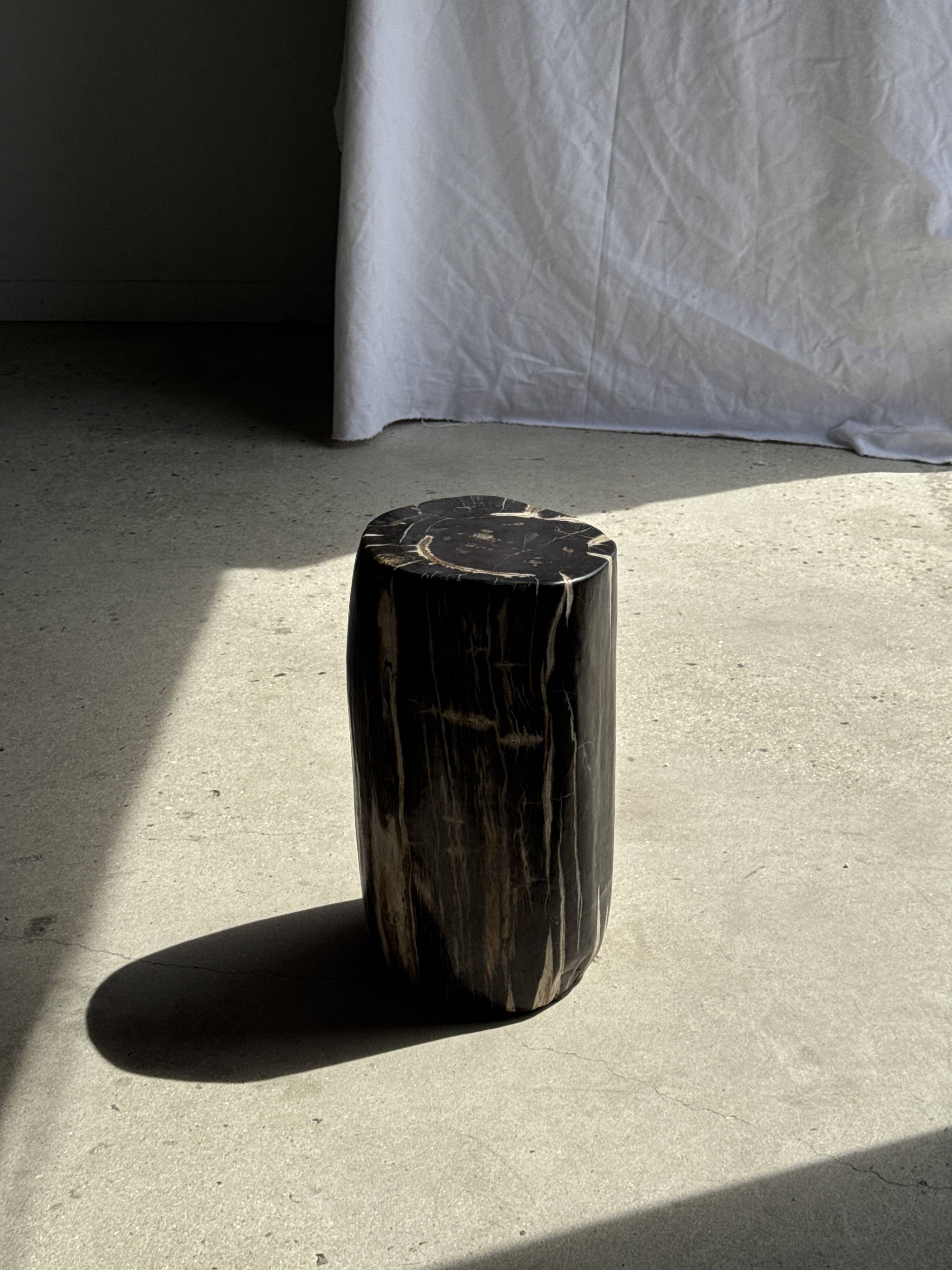 Table d'appoint en bois pétrifié noir