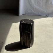 Black petrified wood side table with white and beige stripes H40 D23 - 3
