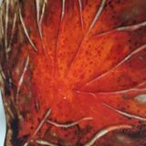 Plat feuille