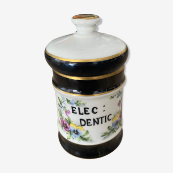 Elec Dentic porcelain apothecary jar