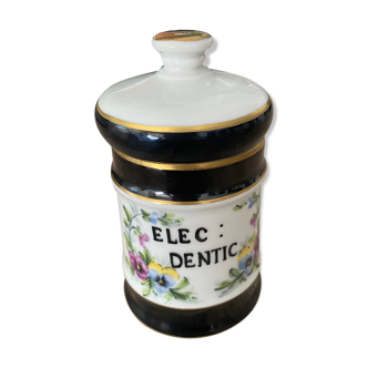 Elec Dentic porcelain apothecary jar