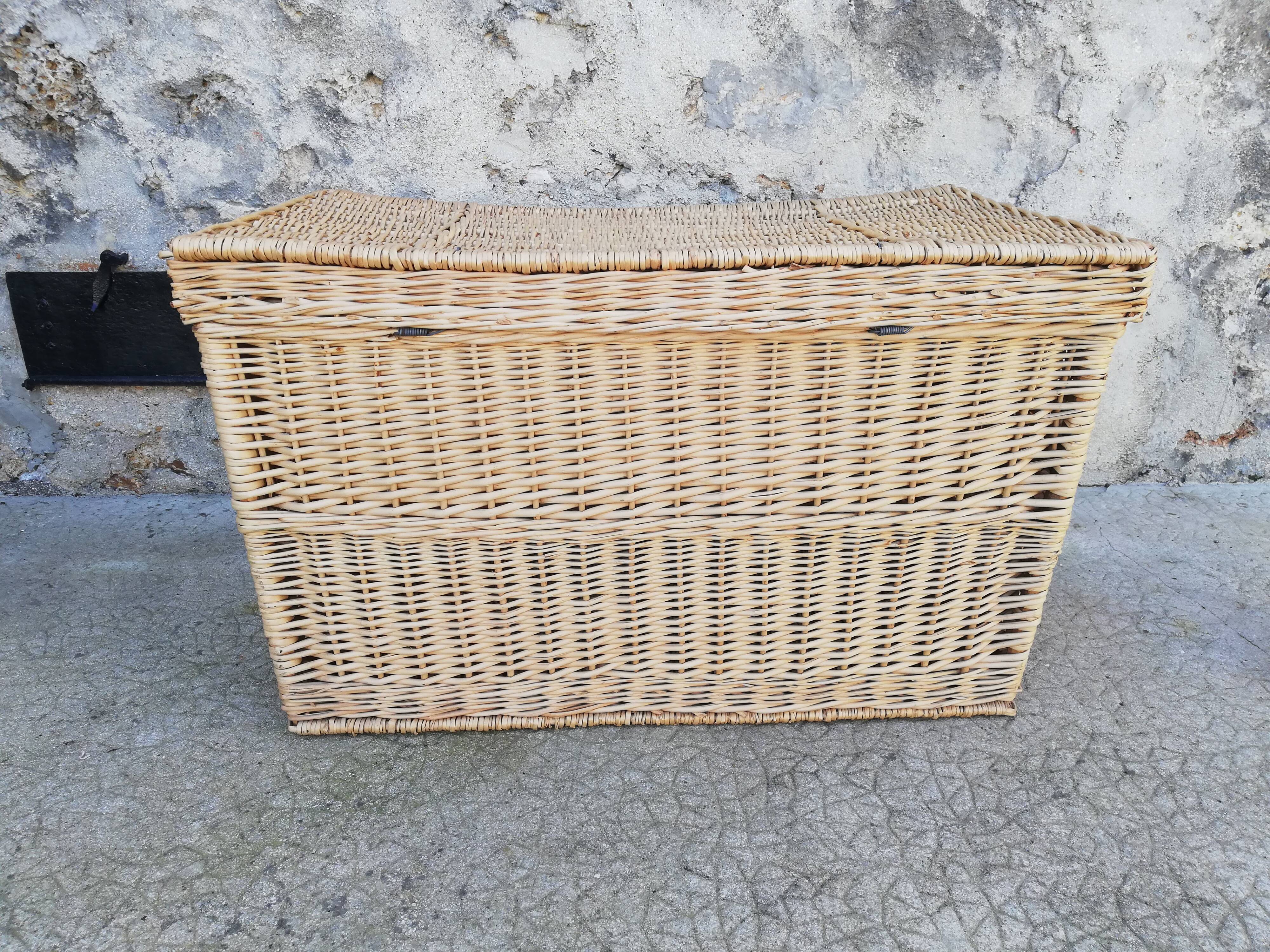 Wicker trunk