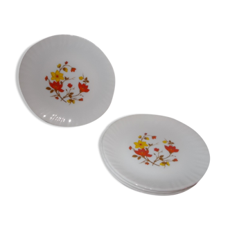 4 vintage Arcopal plates