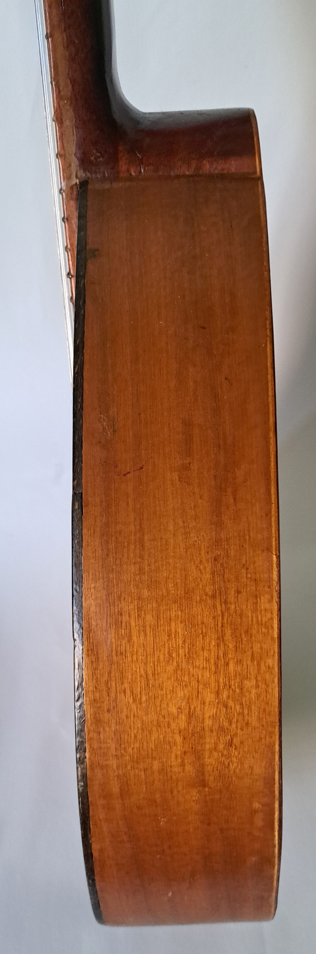 Antique instrument castellano laùd 12 strings (bandurria) - spain 1960s