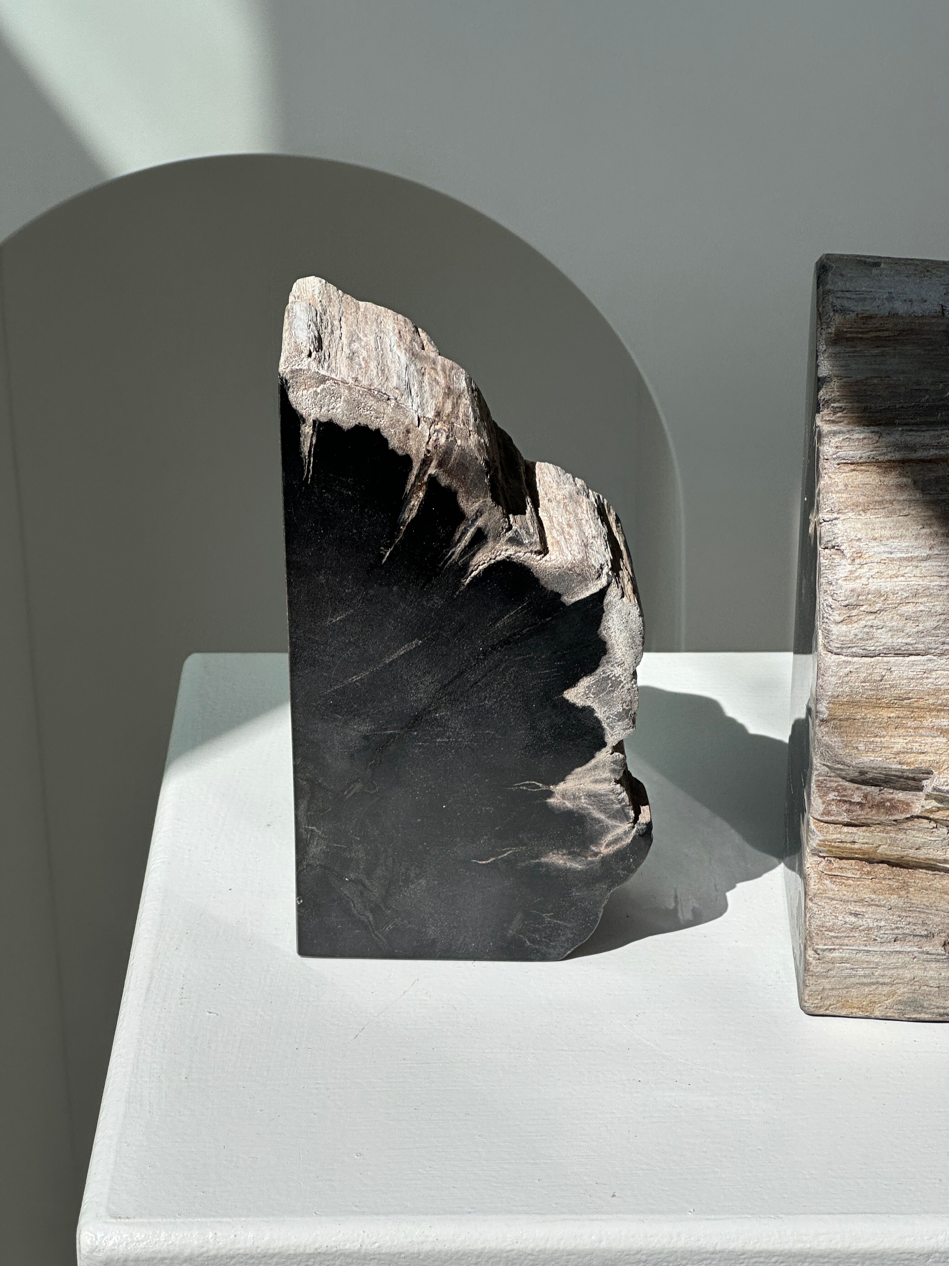 Black petrified wood bookend H17 L17 P6
