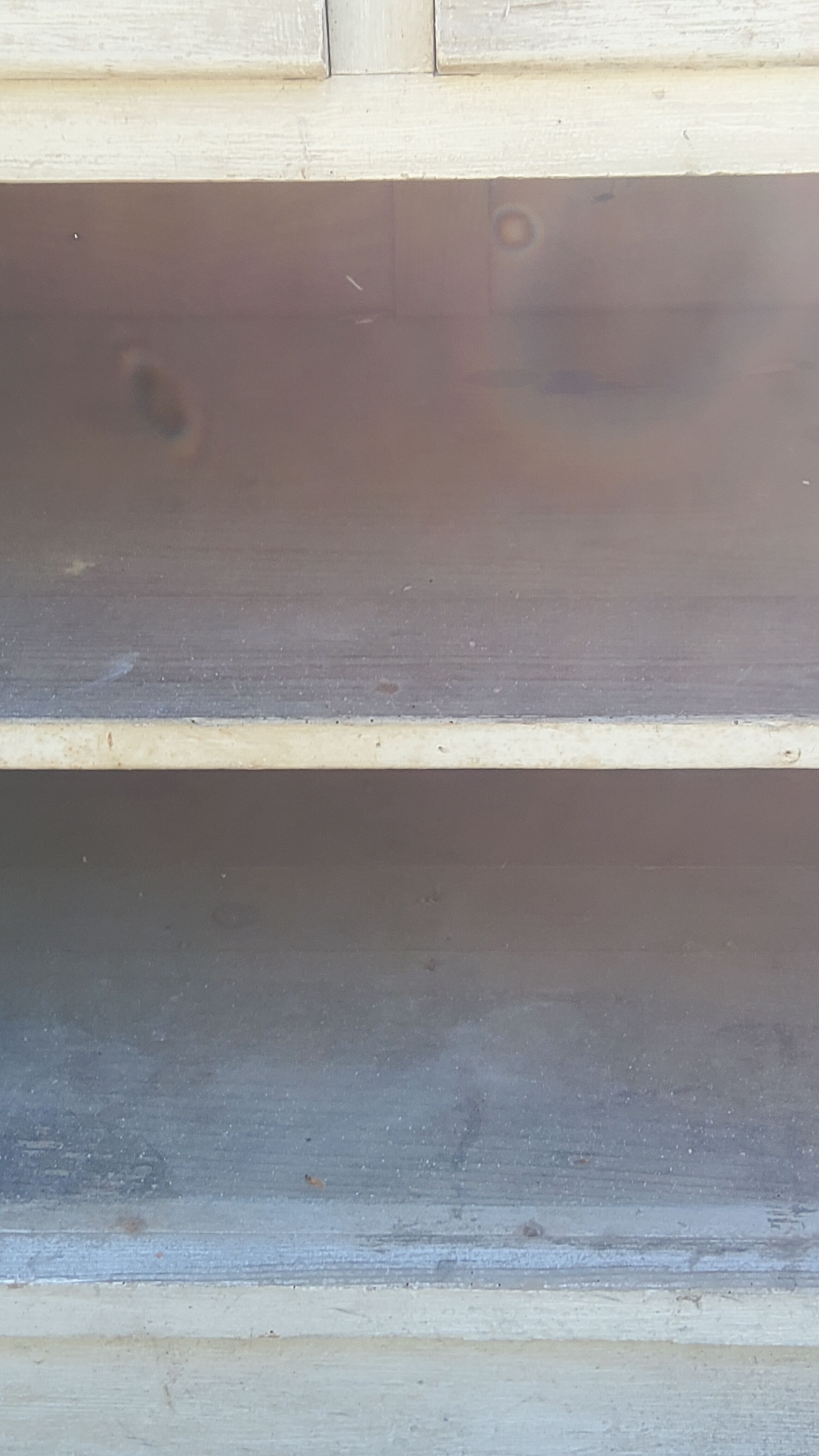 Grocery counter from the 30s