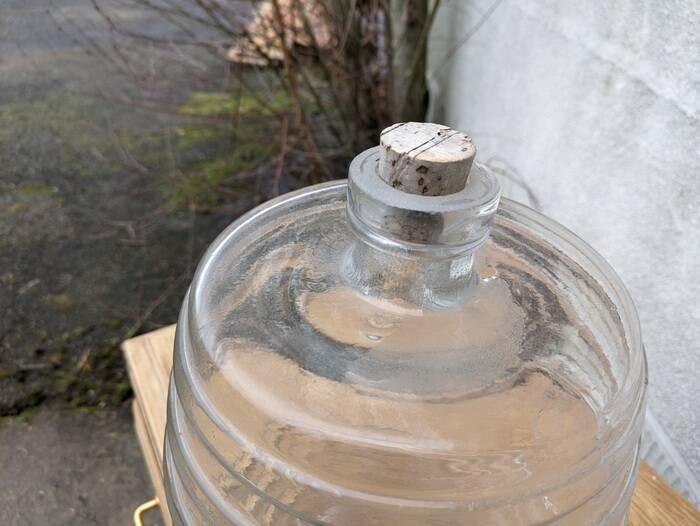 Glass carboy