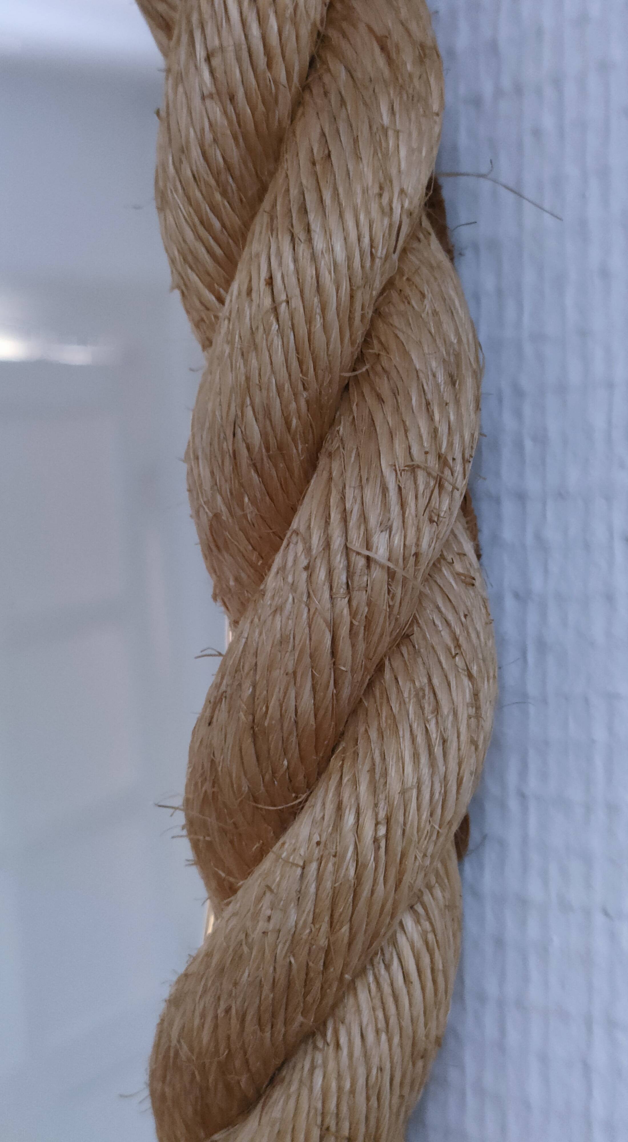 oval mirror braided cord dlg audoux minet 1960s