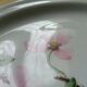 7 porcelain dessert plates pink flowers