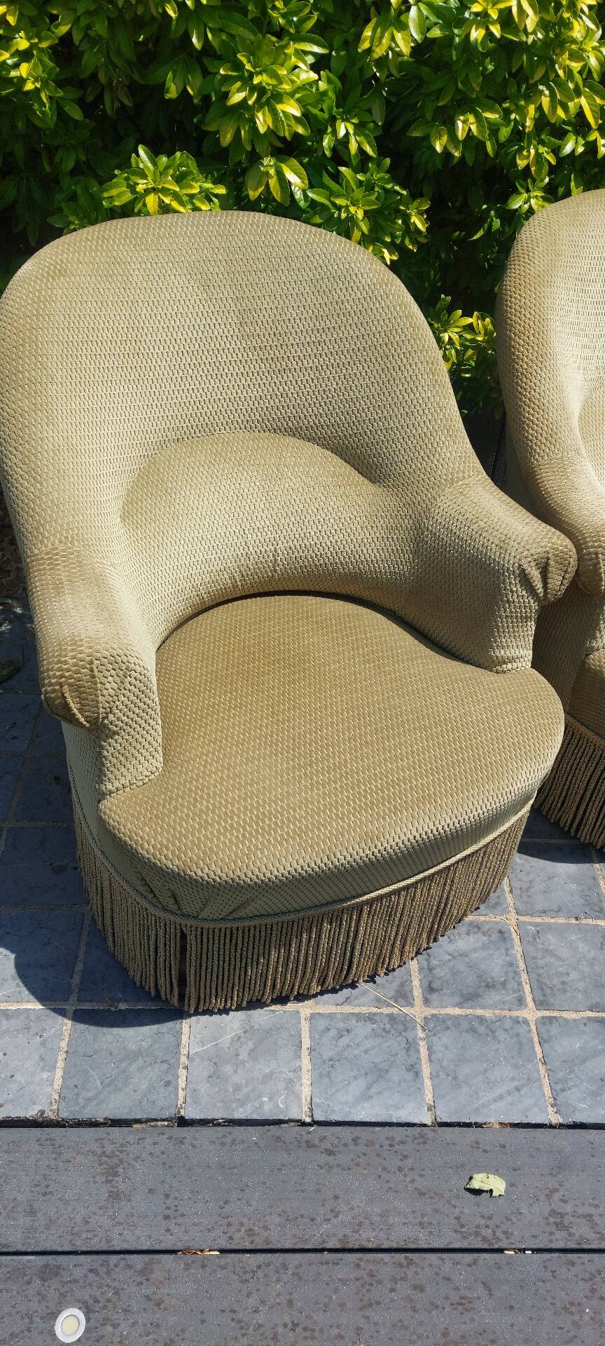 Frog chairs