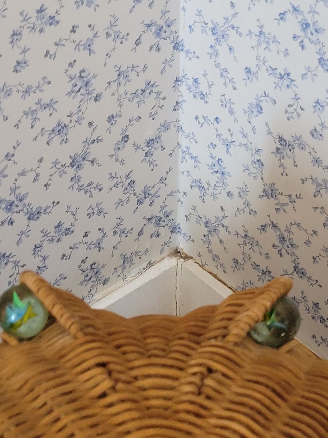 Iconic magazine holder 1970