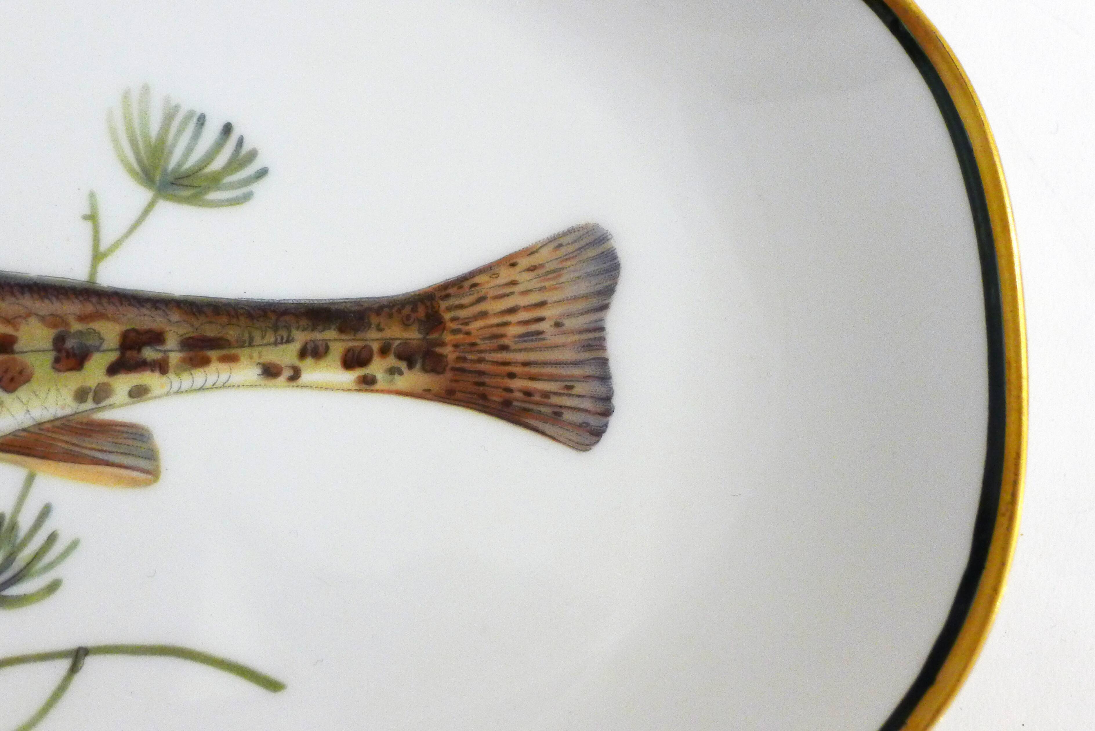 Porcelain fish dish