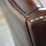 Fauteuil à oreilles classique et majestueux en cuir de mouton avec de jolies couleurs