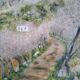 Impressionist oil on panel, spring landscape, signed, framed