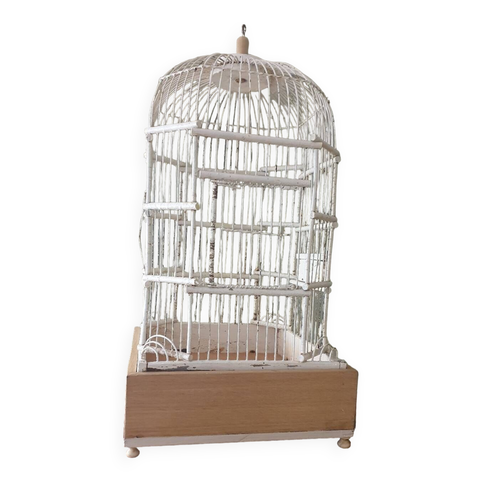 Cage à oiseaux 1900
