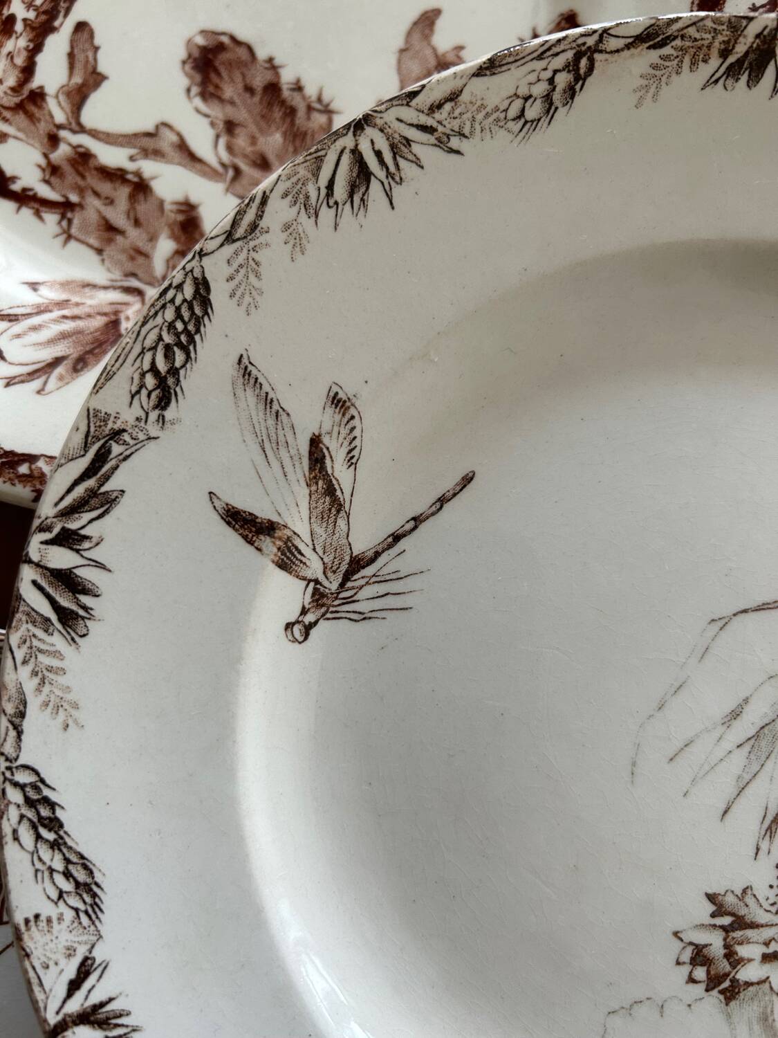 Mismatched set of 6 old flat plates