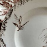 Mismatched set of 6 old flat plates