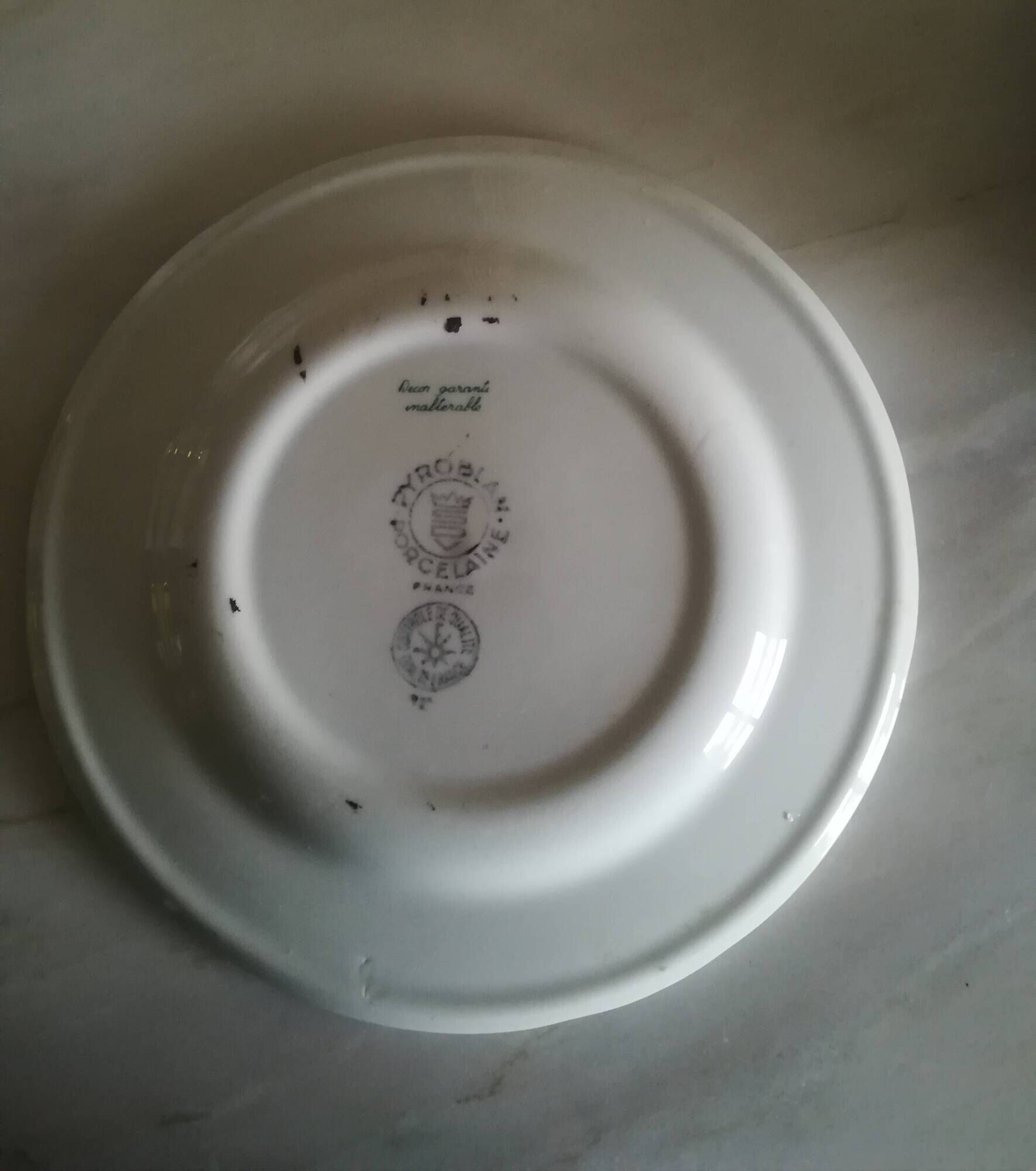 Set of 12 Pyroblanc dessert plates | Bird of Paradise