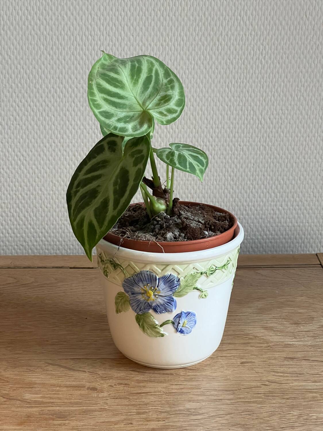 Ceramic flowerpot