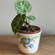 Ceramic flowerpot