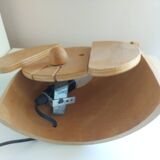 Vintage 80's wooden dog lamp, raison, france