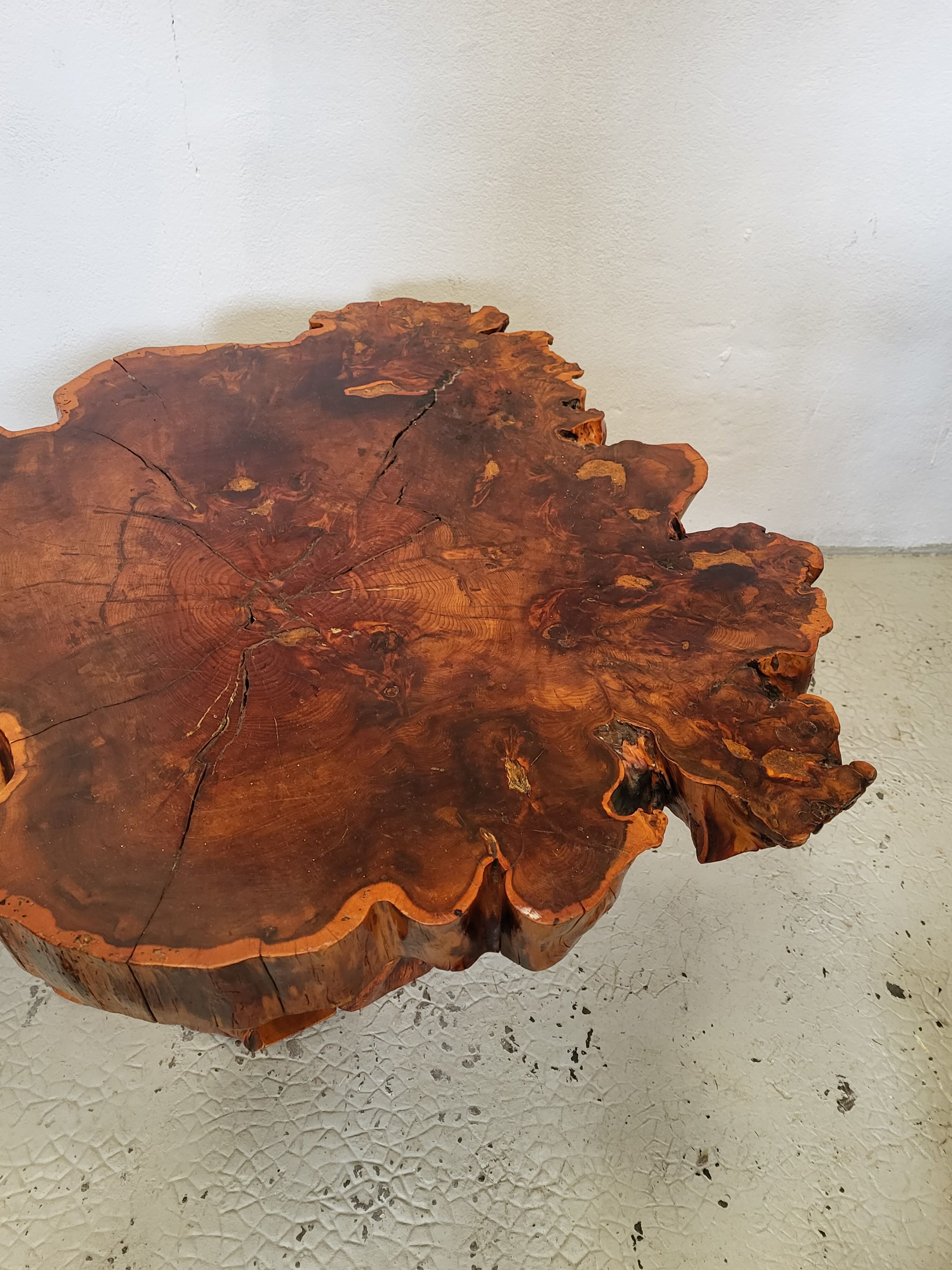 Brutalist table trunk old elm magnifying glass