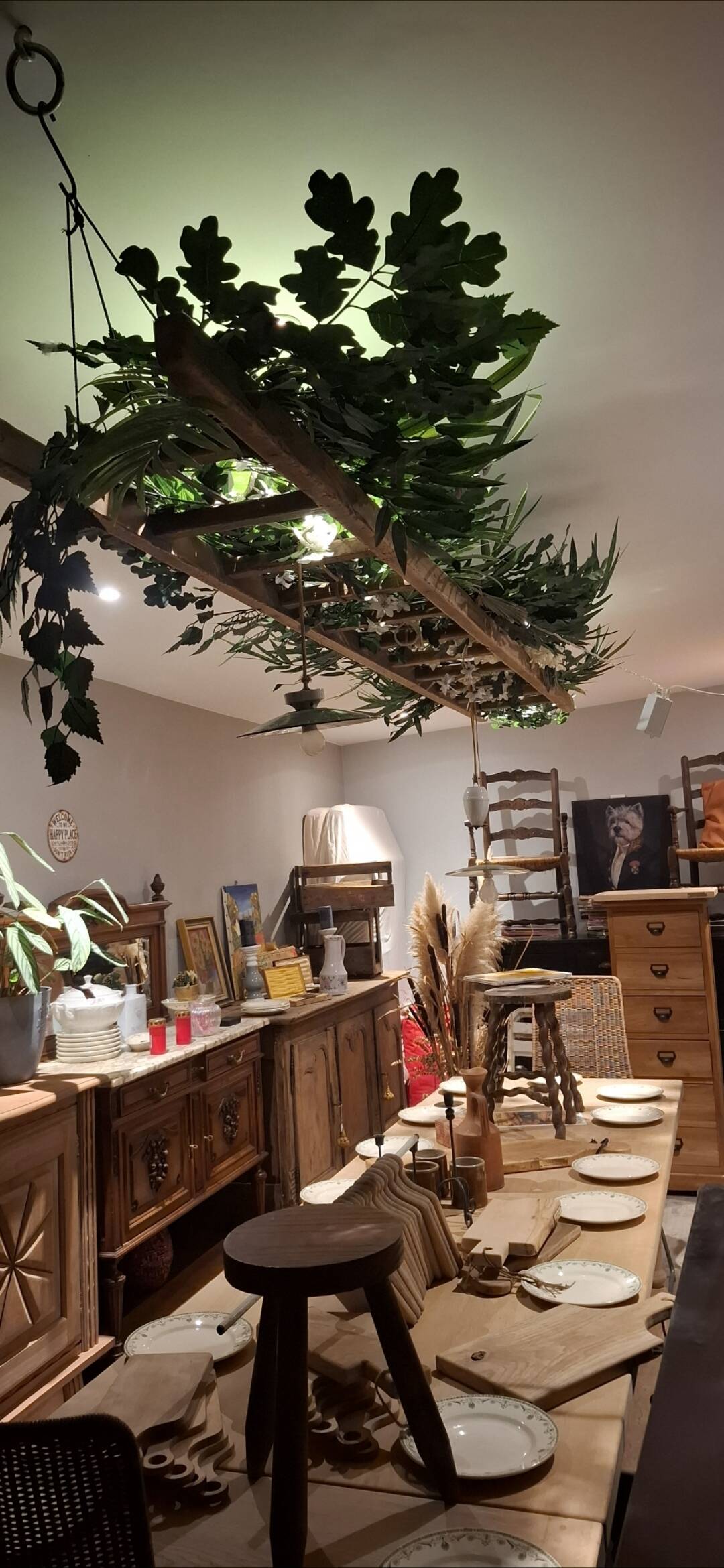 Renovated miller's ladder