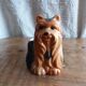 Zoomorphic dog Yorkshire eggcup