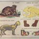 Affiche scolaire Le Chat et Le Singe Montmorillon Rossignol