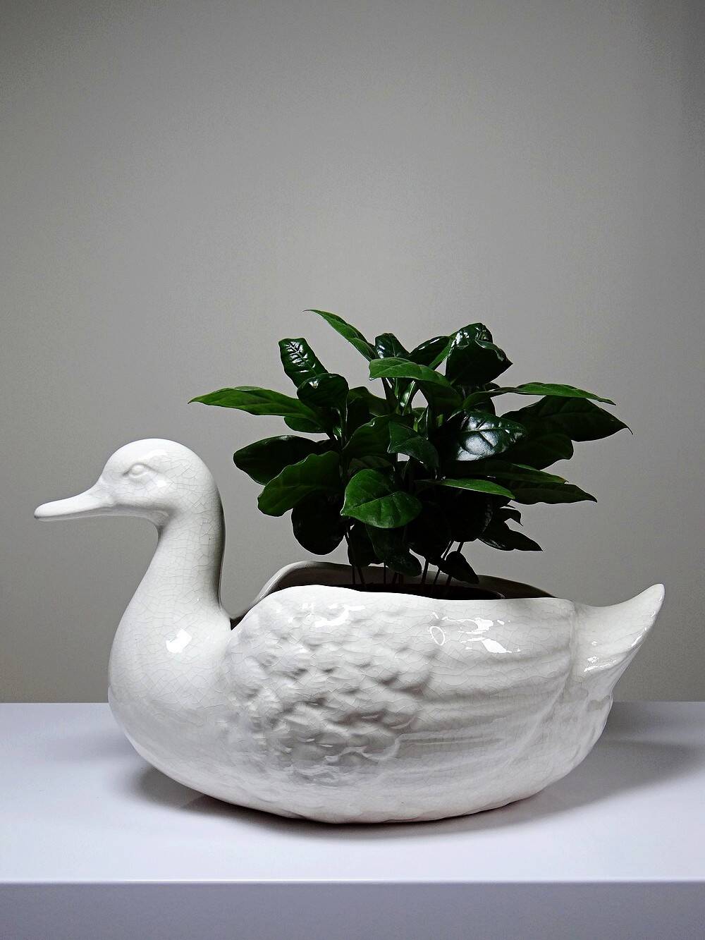 Cache pot/coupe canard en faïence craquelée beige vintage