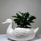 Cache pot/coupe canard en faïence craquelée beige vintage