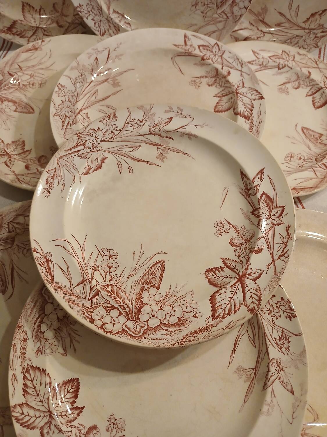 10 antique ironstone dinner plates