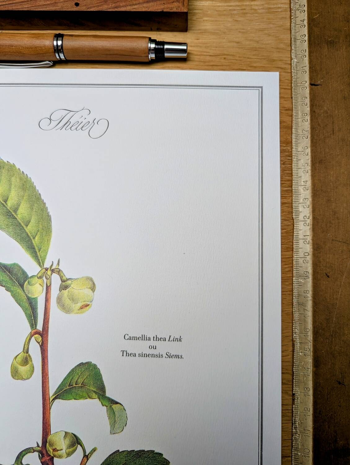 Printed in 1986, The Tea Planter. Original Vintage and Authentic.