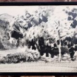 Charcoal on paper by Granados Llimona