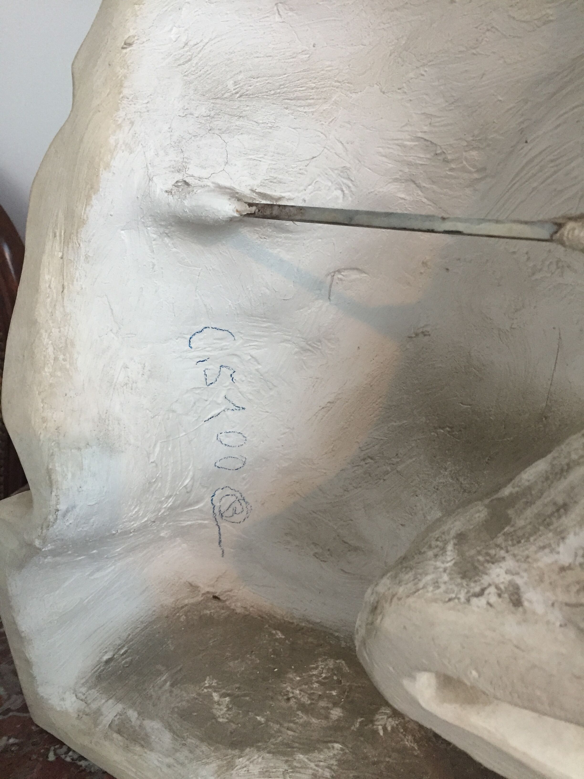 Bust, the dying slave, Michelangelo