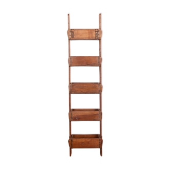 Shelf 5 levels in Burmese teak