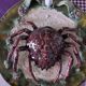 Barbotine earthenware crab plate