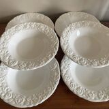 Franco Giorgi plates by Quadrifoglio