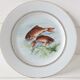 Lot 6 old fish plates, Sofafils porcelain
