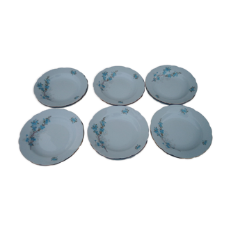 12 hollow plates in Kahla porcelain made in GDR diam 22 cm blue flower pattern