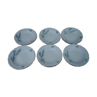 12 assiettes creuses en porcelaine Kahla made in GDR diam 22 cm motif fleurs bleues