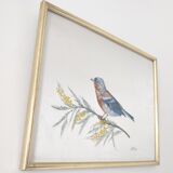 Golden frame bird