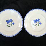 12 flat plates badonviller décor blue flower no digoin nº1