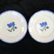 12 assiettes plates badonviller décor fleur bleu no digoin nº1