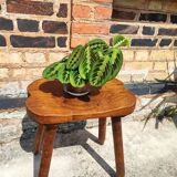 Rustic solid wood stool
