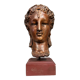 Diane de Poitiers stone bust on a terrace in false pretense of marble